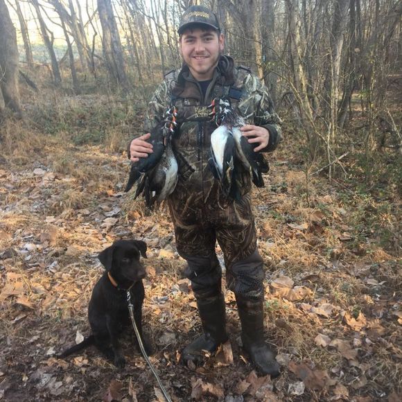 Meet your Posher, Jacob - Picture 1 of 1